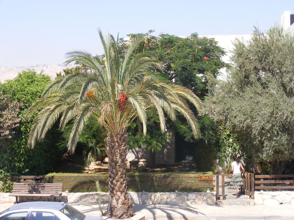 Nof Canaan Kfar Adumim エクステリア 写真